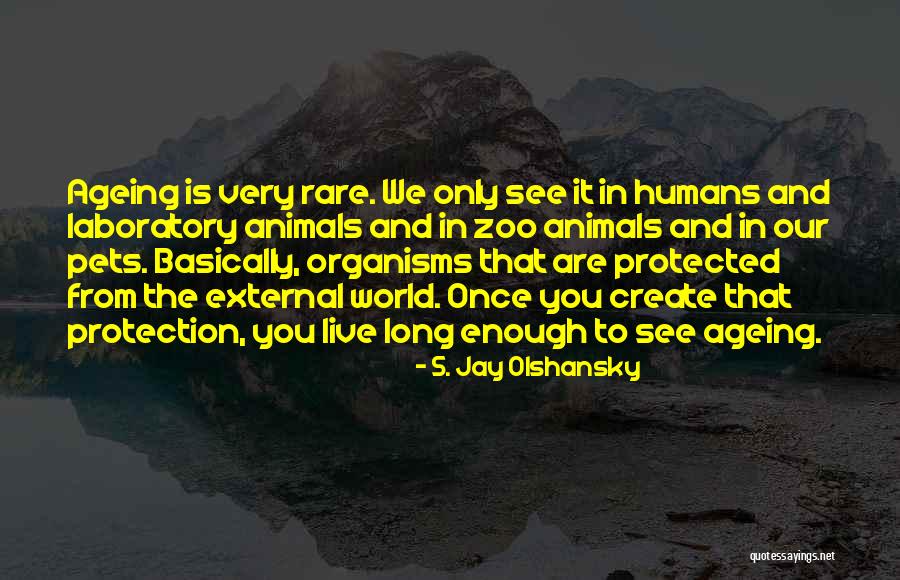 S. Jay Olshansky Quotes 374476