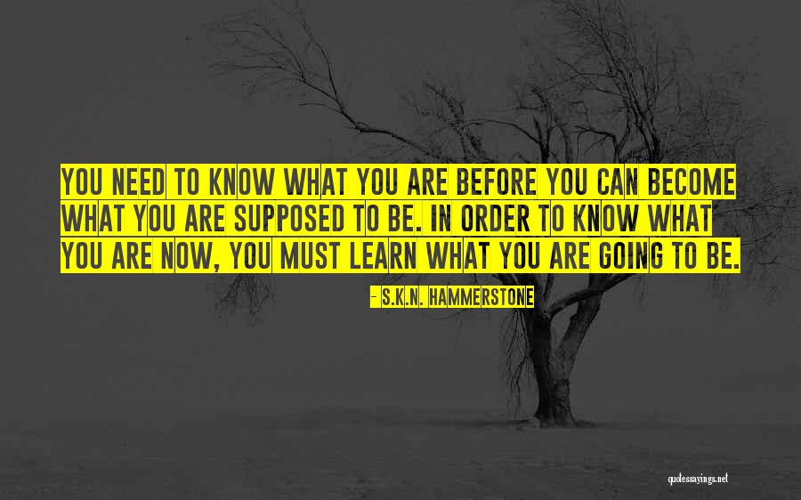 S.K.N. Hammerstone Quotes 1247408 S.K.N. Hammerstone Quotes 1247408