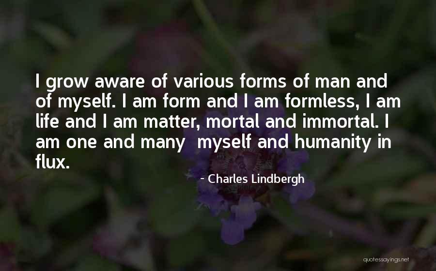 S Khbaatar Quotes By Charles Lindbergh S Khbaatar Quotes By Charles Lindbergh