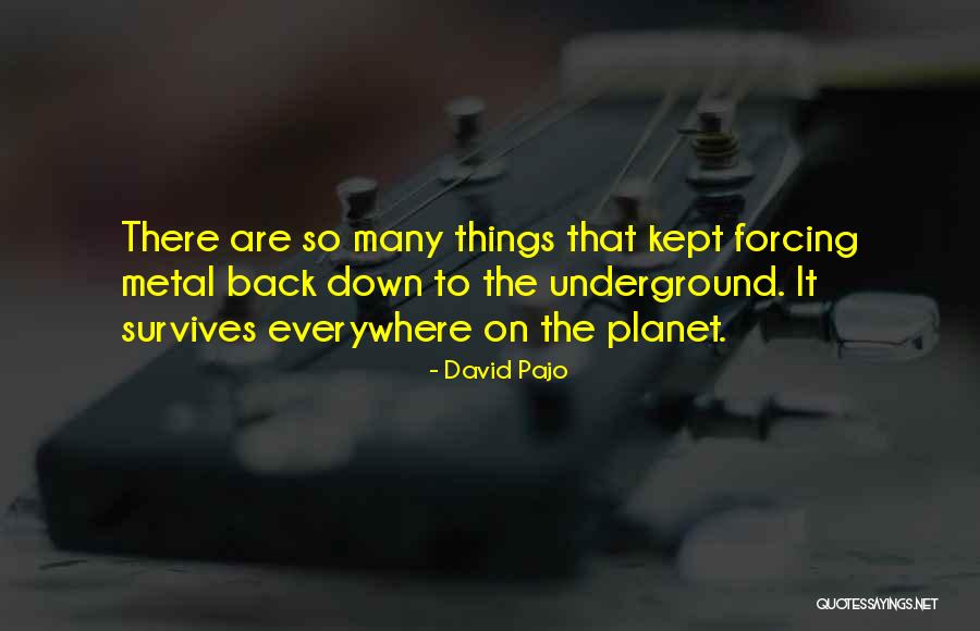 S Lam Fur Quotes By David Pajo