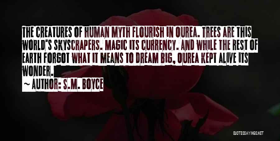 S.M. Boyce Quotes 1230356