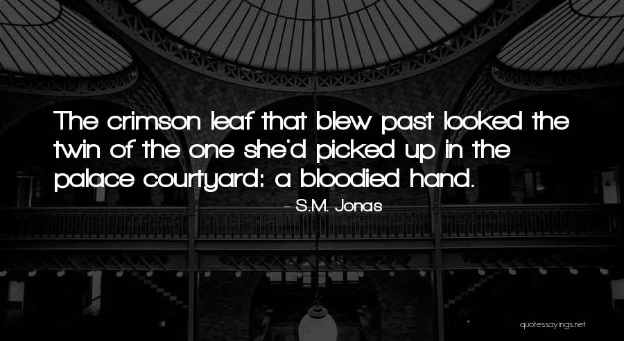 S.M. Jonas Quotes 769533