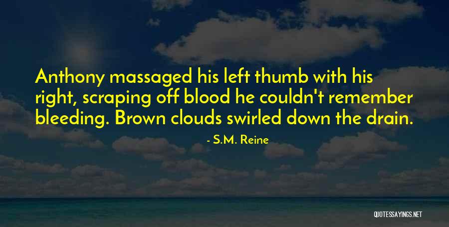 S.M. Reine Quotes 2121779 S.M. Reine Quotes 2121779