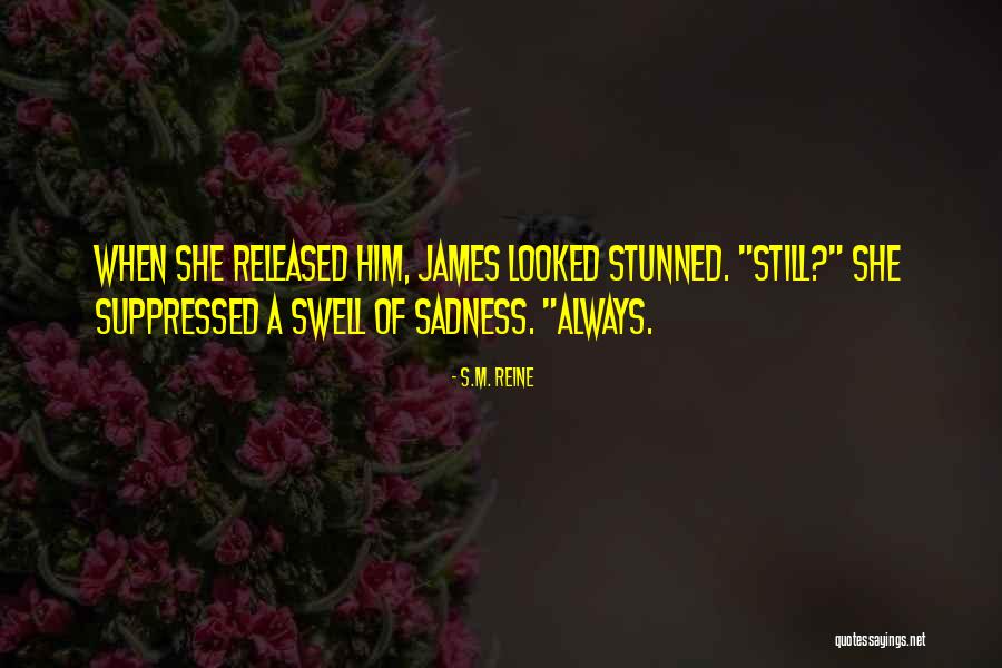 S.M. Reine Quotes 414869 S.M. Reine Quotes 414869