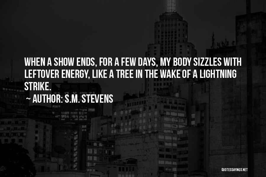 S.M. Stevens Quotes 828669
