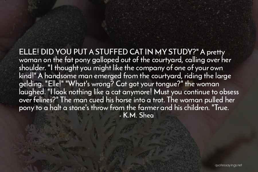 S M T K Quotes By K.M. Shea S M T K Quotes By K.M. Shea