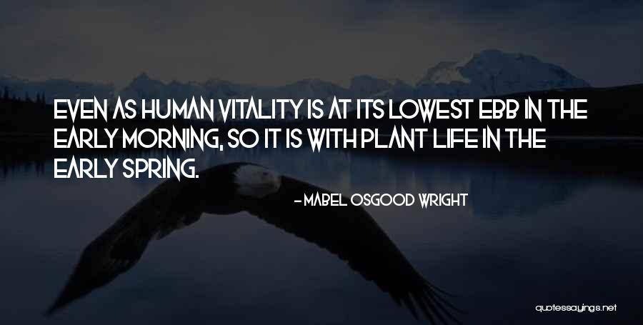S Mbolos Patrios Quotes By Mabel Osgood Wright S Mbolos Patrios Quotes By Mabel Osgood Wright
