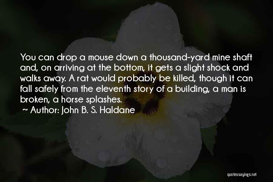 S.mouse Quotes By John B. S. Haldane