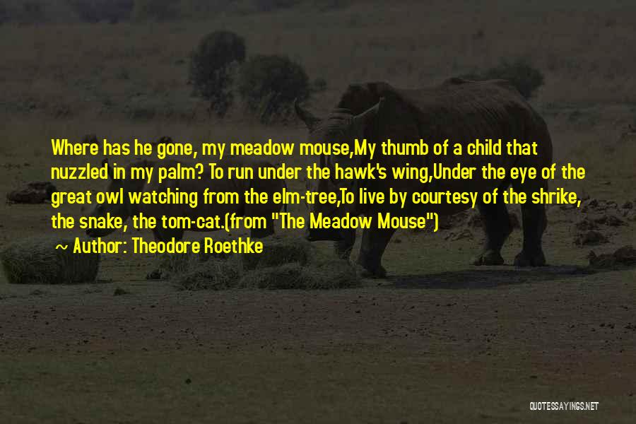S.mouse Quotes By Theodore Roethke