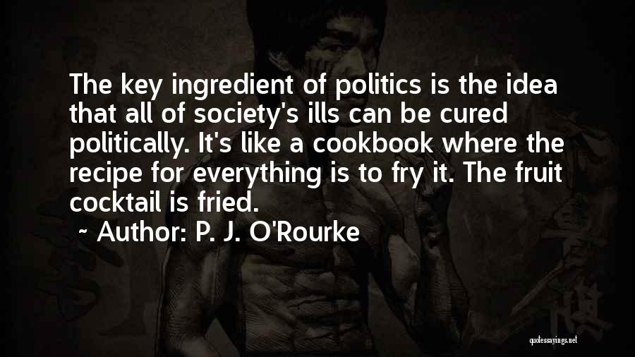 S.o.j.a Quotes By P. J. O'Rourke