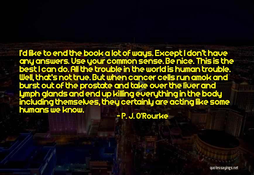 S.o.j.a Quotes By P. J. O'Rourke