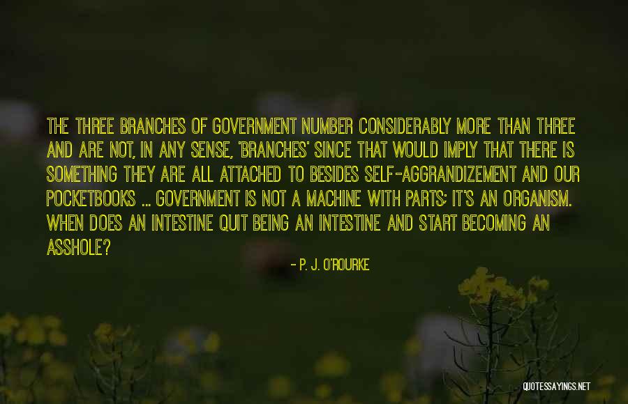 S.o.j.a Quotes By P. J. O'Rourke