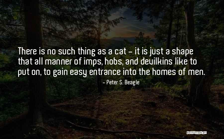 S O Marcos Donatello Quotes By Peter S. Beagle S O Marcos Donatello Quotes By Peter S. Beagle