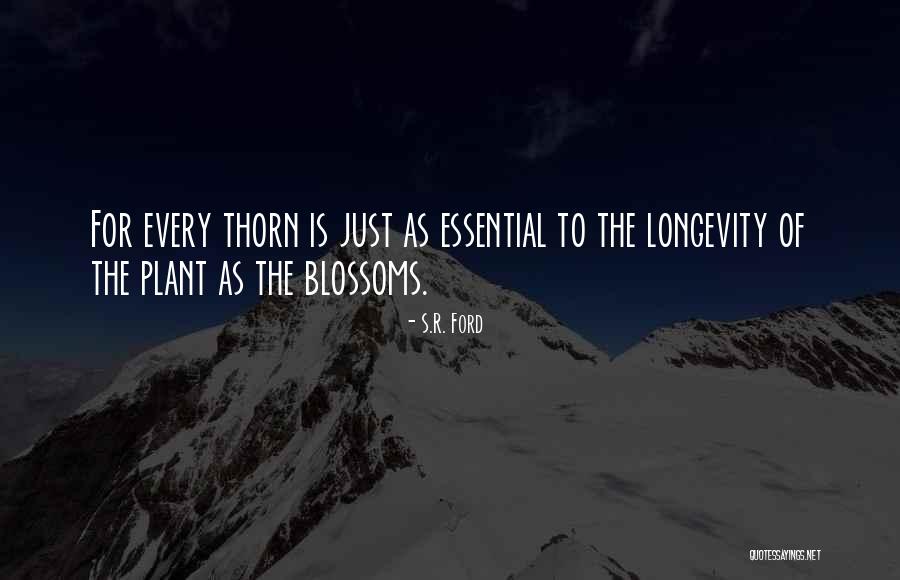 S.R. Ford Quotes 1347374 S.R. Ford Quotes 1347374