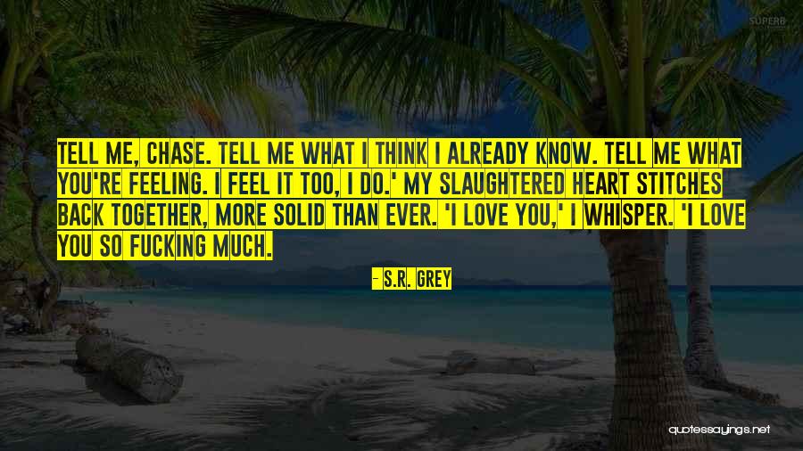 S.R. Grey Quotes 313873 S.R. Grey Quotes 313873