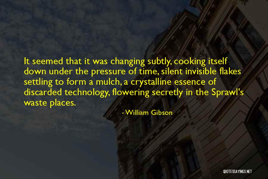 S Ritsa Quotes By William Gibson S Ritsa Quotes By William Gibson