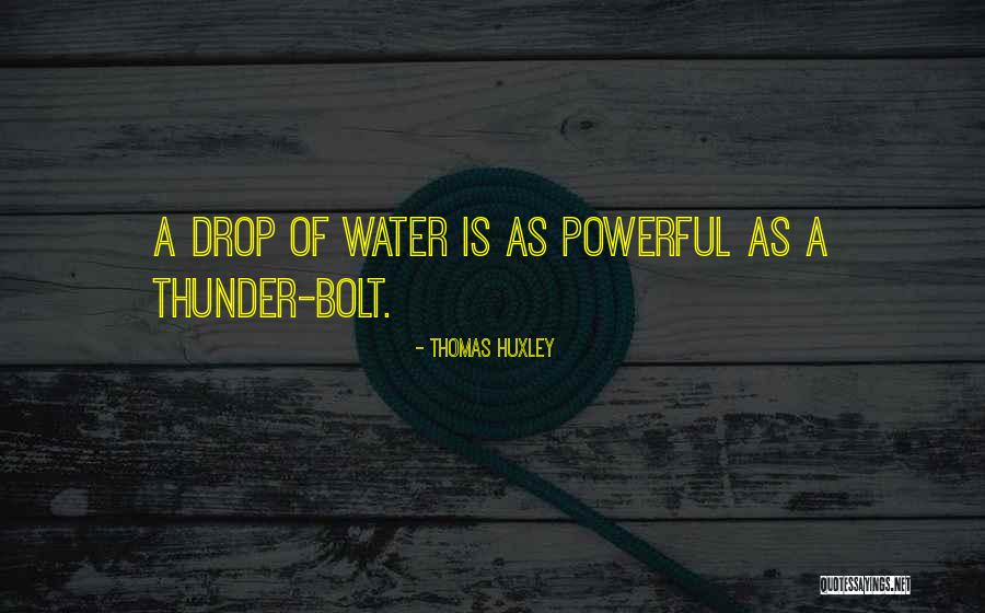 Sa Dinami Dami Quotes By Thomas Huxley