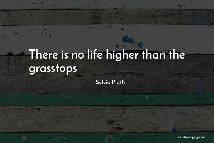 Sa Saraph Quotes By Sylvia Plath Sa Saraph Quotes By Sylvia Plath