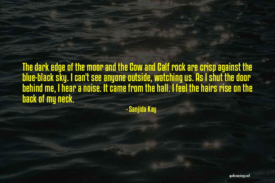 Saadanius Quotes By Sanjida Kay Saadanius Quotes By Sanjida Kay