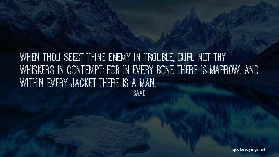 Saadi Quotes 728600