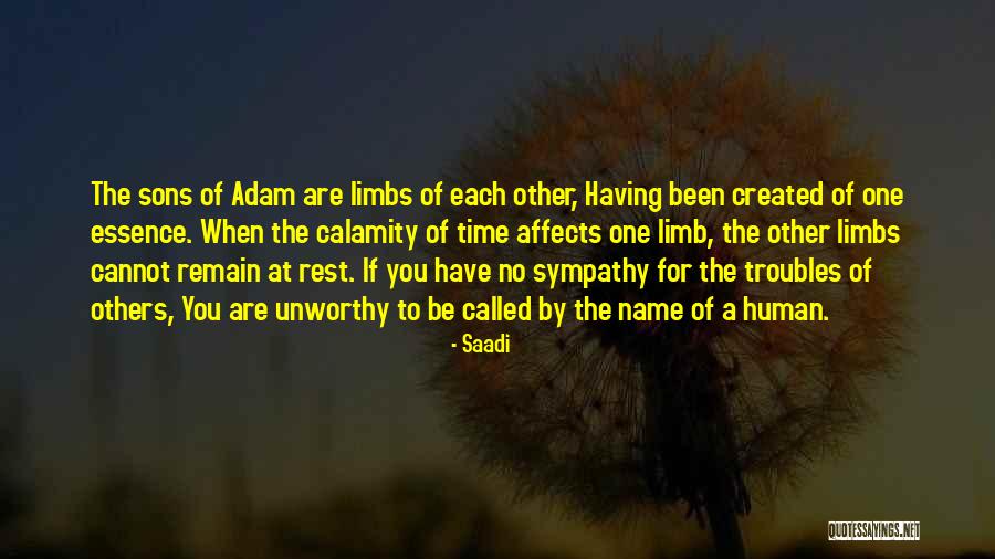 Saadi Quotes 850445