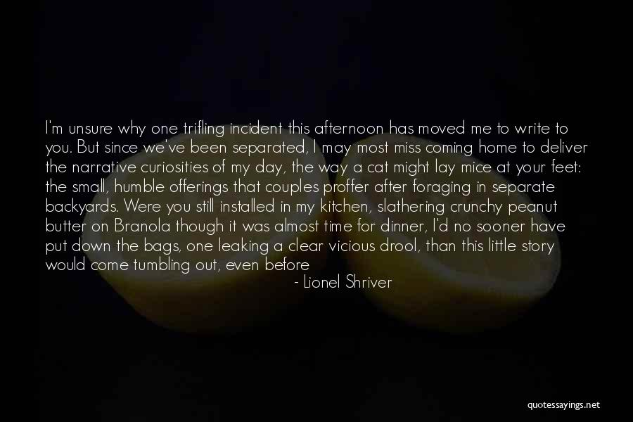 Saadiyat Quotes By Lionel Shriver Saadiyat Quotes By Lionel Shriver
