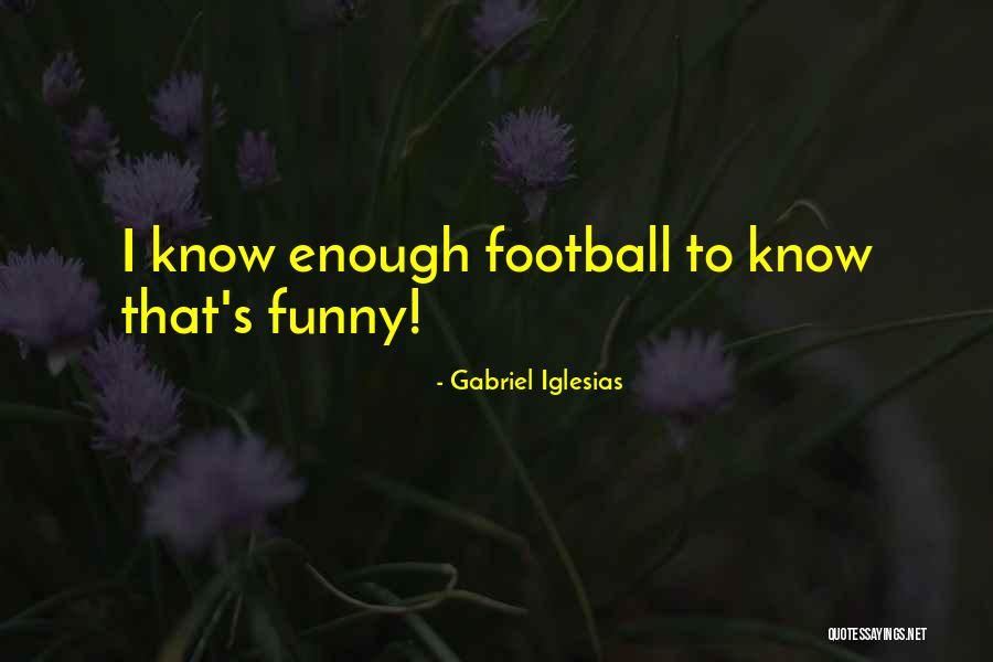 Saaf Dil Quotes By Gabriel Iglesias