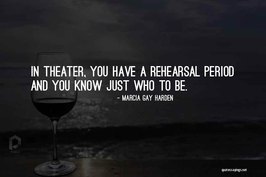 Saami Shaibani Quotes By Marcia Gay Harden