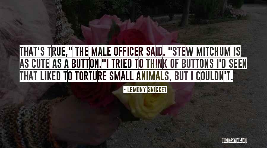 Saanys Quotes By Lemony Snicket