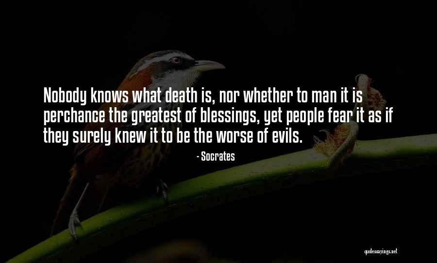 Saarelainen Quotes By Socrates Saarelainen Quotes By Socrates