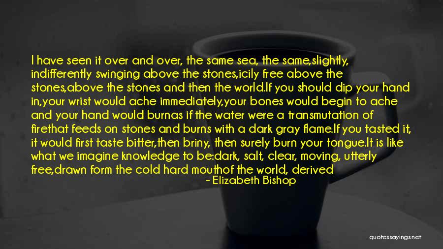 Sabatello Builders Quotes By Elizabeth Bishop Sabatello Builders Quotes By Elizabeth Bishop