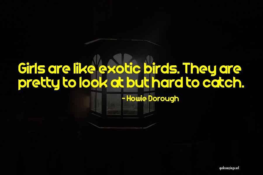 Sabatello Builders Quotes By Howie Dorough Sabatello Builders Quotes By Howie Dorough