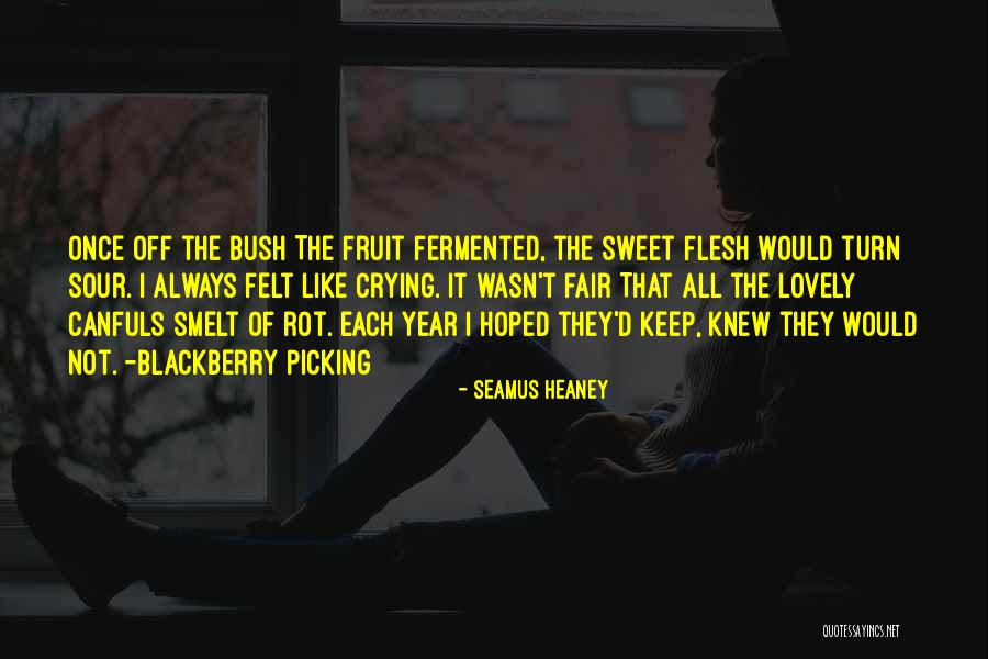Sabatier Knife Quotes By Seamus Heaney Sabatier Knife Quotes By Seamus Heaney