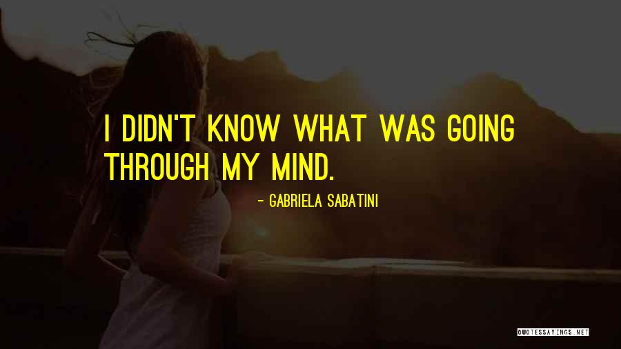 Sabatini Quotes By Gabriela Sabatini Sabatini Quotes By Gabriela Sabatini