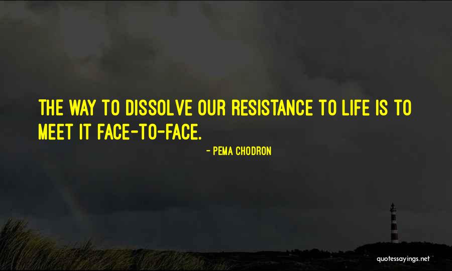 Sabbagh Family Quotes By Pema Chodron Sabbagh Family Quotes By Pema Chodron