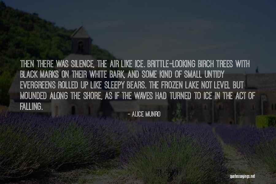 Sabby Investments Quotes By Alice Munro Sabby Investments Quotes By Alice Munro