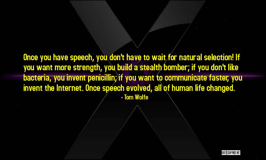 Sabeh Fa5ri Quotes By Tom Wolfe Sabeh Fa5ri Quotes By Tom Wolfe