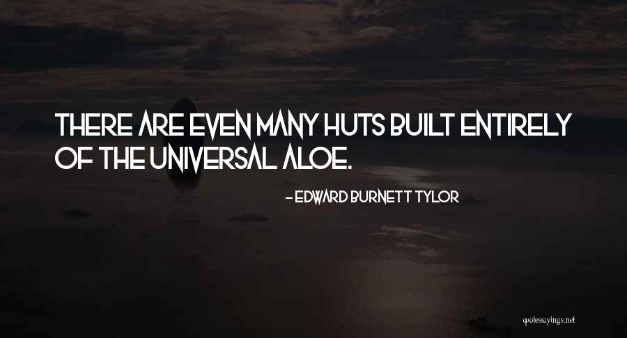 Sabelt Quotes By Edward Burnett Tylor Sabelt Quotes By Edward Burnett Tylor
