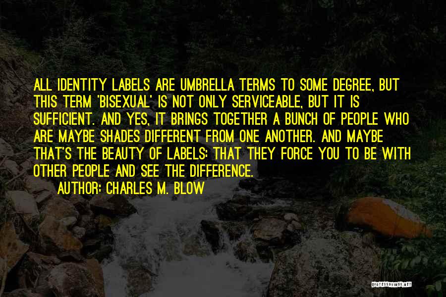 Sabores Of The Valley Quotes By Charles M. Blow