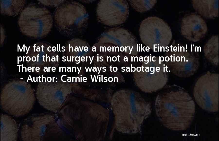 Sabotage Quotes By Carnie Wilson