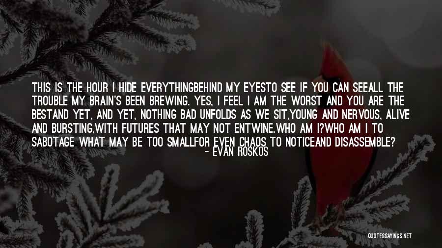 Sabotage Quotes By Evan Roskos