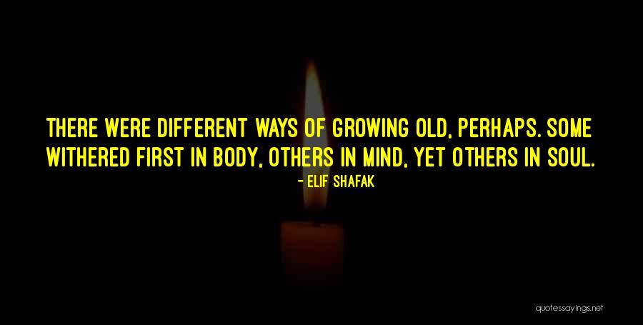 Saboteur Sean Devlin Quotes By Elif Shafak Saboteur Sean Devlin Quotes By Elif Shafak