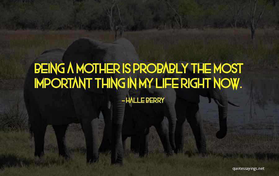 Sabrosa Mexican Quotes By Halle Berry Sabrosa Mexican Quotes By Halle Berry