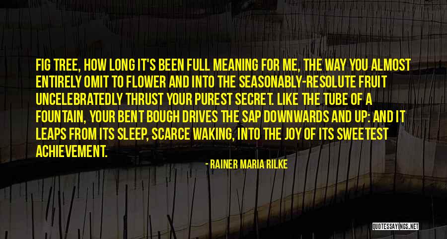 Sabuco Gilio Quotes By Rainer Maria Rilke Sabuco Gilio Quotes By Rainer Maria Rilke