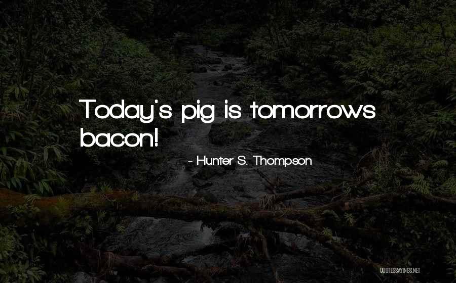 Sacaba Beach Quotes By Hunter S. Thompson