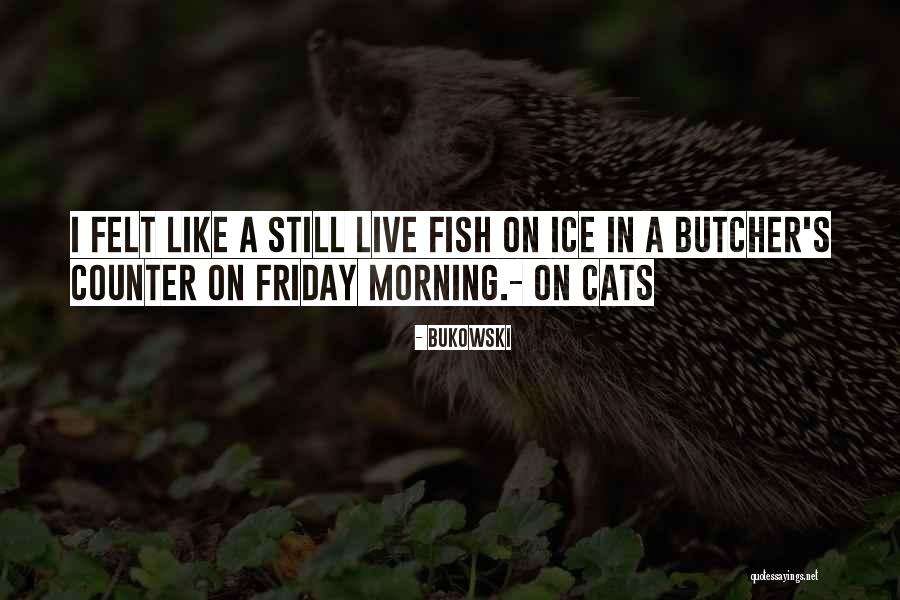 Sacared Quotes By Bukowski Sacared Quotes By Bukowski