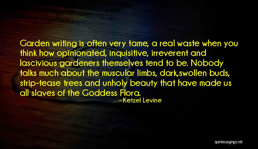 Sacchi Sarenai Quotes By Ketzel Levine Sacchi Sarenai Quotes By Ketzel Levine