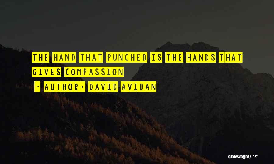 Sacha Aashiq Quotes By David Avidan