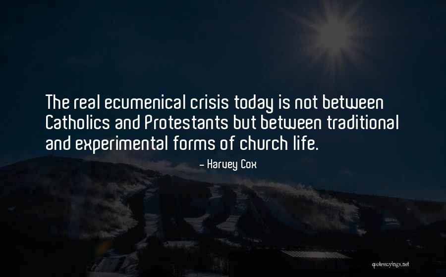 Sacha Inchi Quotes By Harvey Cox Sacha Inchi Quotes By Harvey Cox