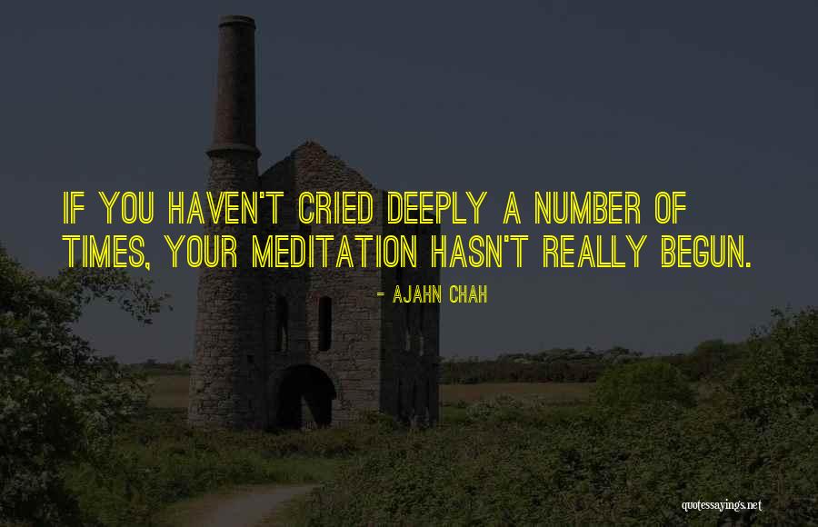 Sachant French Quotes By Ajahn Chah Sachant French Quotes By Ajahn Chah